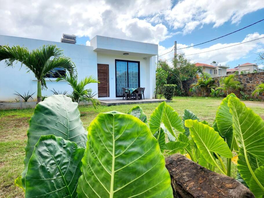 La Maison D'Isa Albion Exterior foto